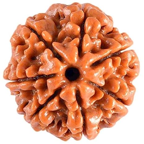 2806